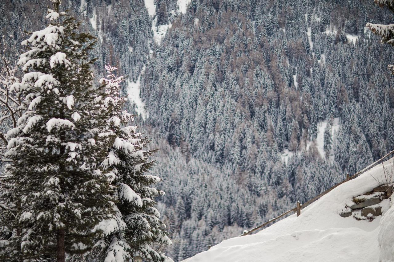 Hotel Alpenhof ألتيمو المظهر الخارجي الصورة