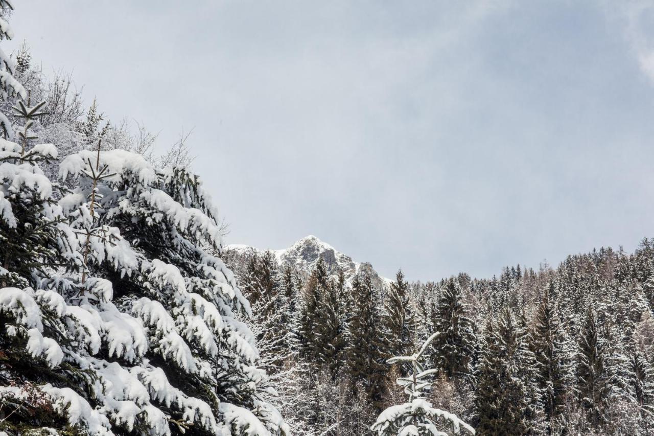 Hotel Alpenhof ألتيمو المظهر الخارجي الصورة