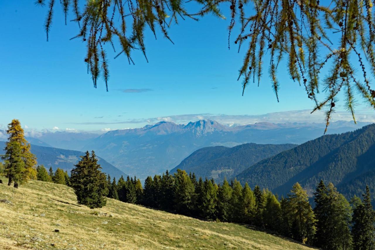 Hotel Alpenhof ألتيمو المظهر الخارجي الصورة